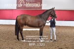 BPP_1321