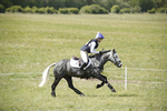 BVHT 140517  NXC -331