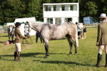 SBM_20034