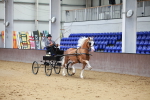 SBM_000534