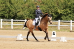 SBM_000479