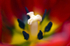Flower - 6401