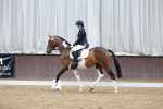 SBM_003446