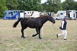 WJ6_5976