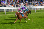 170523-Race 6-Mon Na Slieve-0795