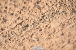 231101A-115936-00189