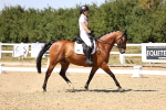 SBM_012367