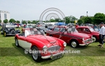 Jsy Classic Hill-75