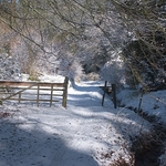 Snow-gate1363