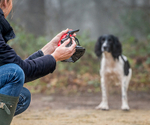 Mikki 3-in-1 whistle,clicker & poo-bag holder
