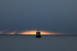 Isbjørn II 4699