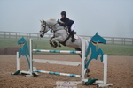 Cls 5 Foxhunter and 1.20m Open portfolio