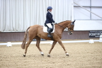 SBM_004351