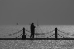 Lonely Fisherman, Somerset _S043