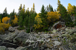 3HPhotography10-6-24_RMNP_0169_