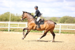 SBM_003394