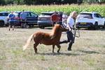 WJ6_4811