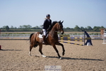 Cls 19 British Novice & 90cm Open portfolio
