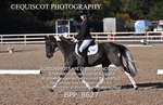 BPP_8627