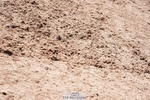 250510-105030-10916