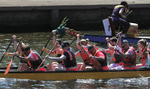 THE YORK ROTARY DRAGON BOAT CHALLENGE 2026 - 274 of 426