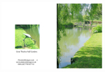 012 Thurlow Hall Gardens - Lake