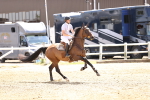 SBM_001252