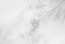 Stretching point