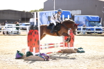 SBM_000780