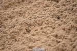 230423A-131524-09809