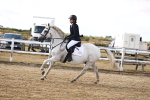 SBM_006382