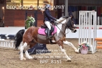 BPP_8151