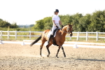 SBM_007796