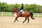 SBM_006571