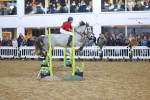 SBM_003717