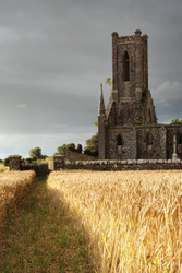 #16 Ballinafagh Church IV