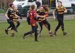 DSC09700