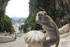 Long Tail Macaque sat outside a temple in Malaysia.