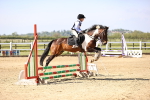 SBM_000371