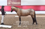 BPP_1415