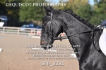 BPP_8281
