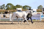 SBM_08426