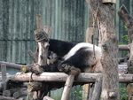 CHINA__0074