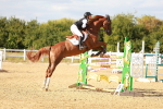 SBM_007908