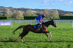 251025-Race 5-The Egyptian Ginge-9521