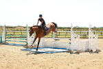 SBM_006971