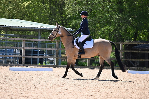 WJ6_9211