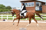 Cls 9 MyQuest Novice 27 portfolio