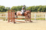 SBM_002649