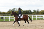 SBM_004485